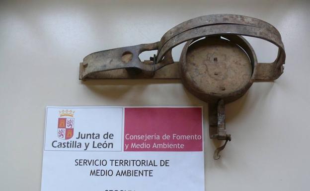 Cepo decomisado.