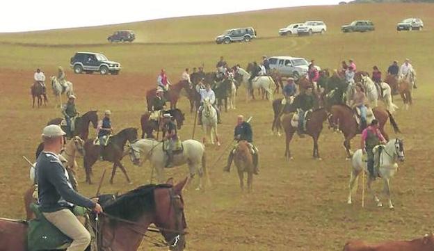 Encierro campero celebrado en Paredes de Nava.