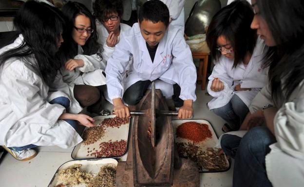Estudiantes de una escuela de medicina tradicional china. /Zhou Chao (Efe)