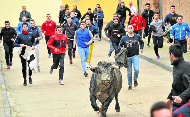 Varios jóvenes corren junto al denominado Toro de San Nicolás, en el encierro de ayer en Pollos. /R. J.
