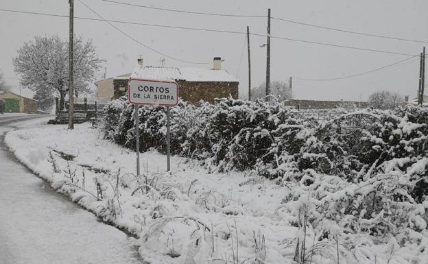Imagen de la localidad de Cortos de la Sierra, que amaneció completamente curbierta por la nieve.