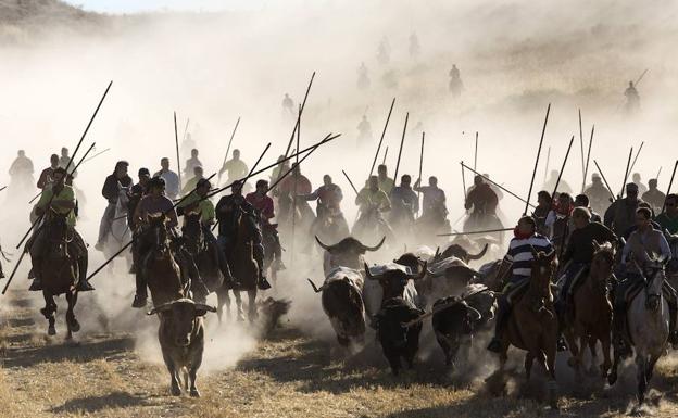 Caballistas en un encierro de Cuéllar. /Efe