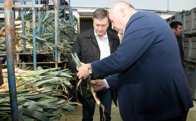 El presidente de Asoprofit, José Nieto (a la derecha), junto a Francisco Vázquez en el lavadero de puerros Los Claveles. /M. R.