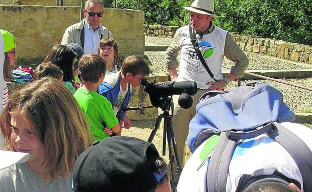 Varios niños en una de las actividades del programa dedicada al avistamiento de aves. /El Norte