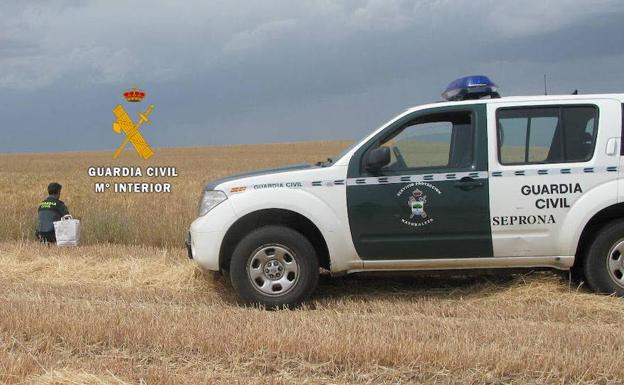 Vehículo del Seprona de la Guardia Civil. /El Norte