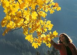 El otoño durará 89 días y 20 horas. / Archivo/