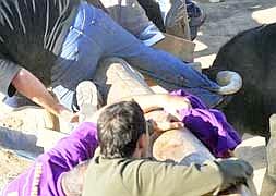 Un mozo es corrneado en la zona del embudo / Fran Jiménez/