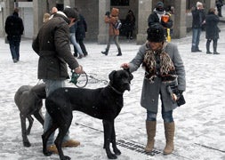 La nieve hace acto de presencia esta mañana en la capital segoviana. / Antonio de Torre/