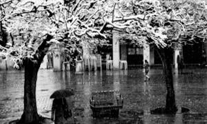 Fotografía 'El invierno'. /El Norte/