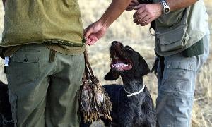 Dos cazadores en la apertura de la media veda. / H. Sastre/