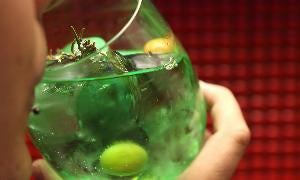 Una mujer bebe un gin tonic. / EL NORTE/