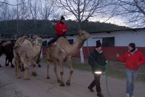 Momento en que la comitiva sale de Tudela de Duero. ::
J. F./