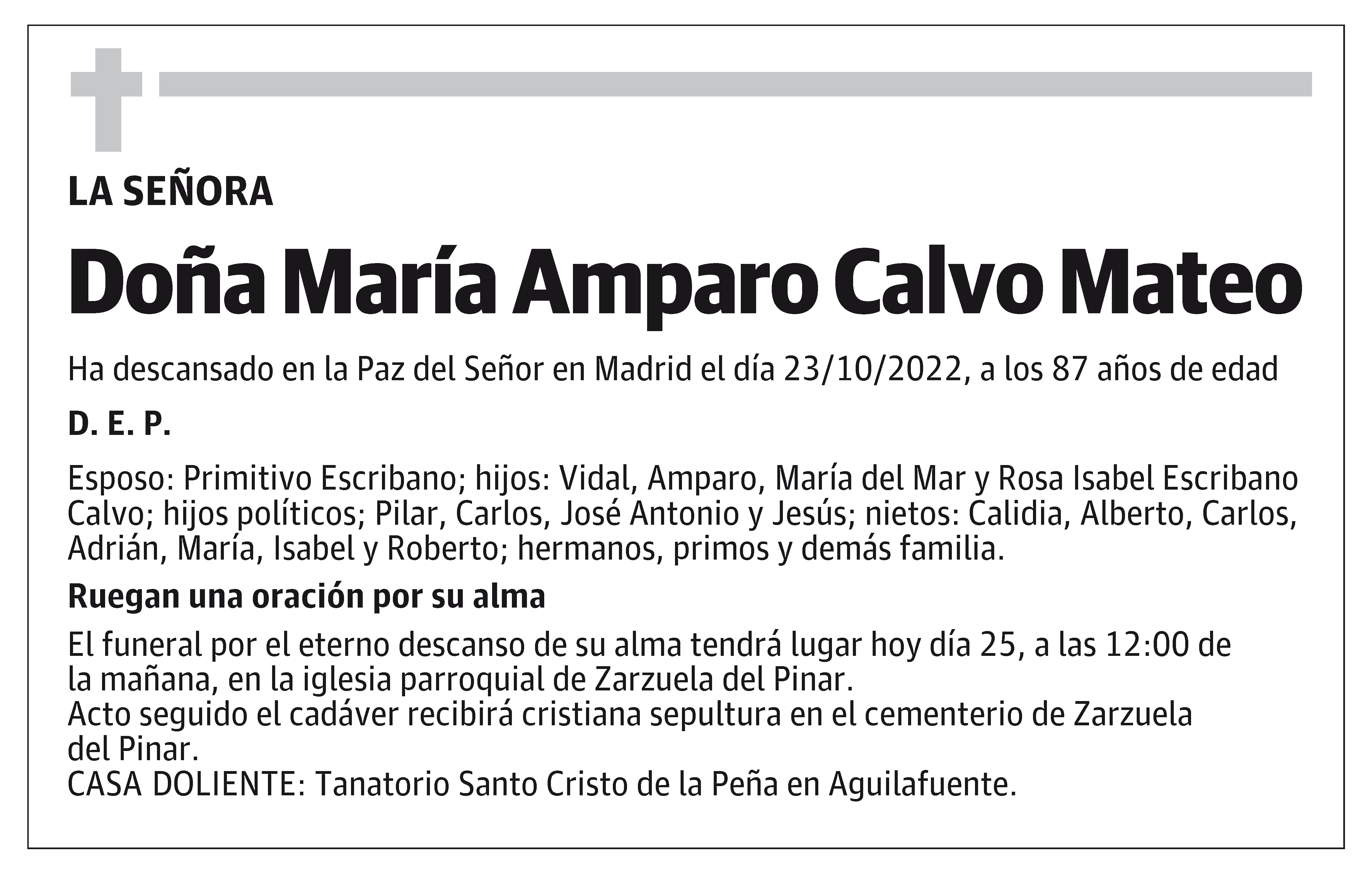 María Amparo Calvo Mateo