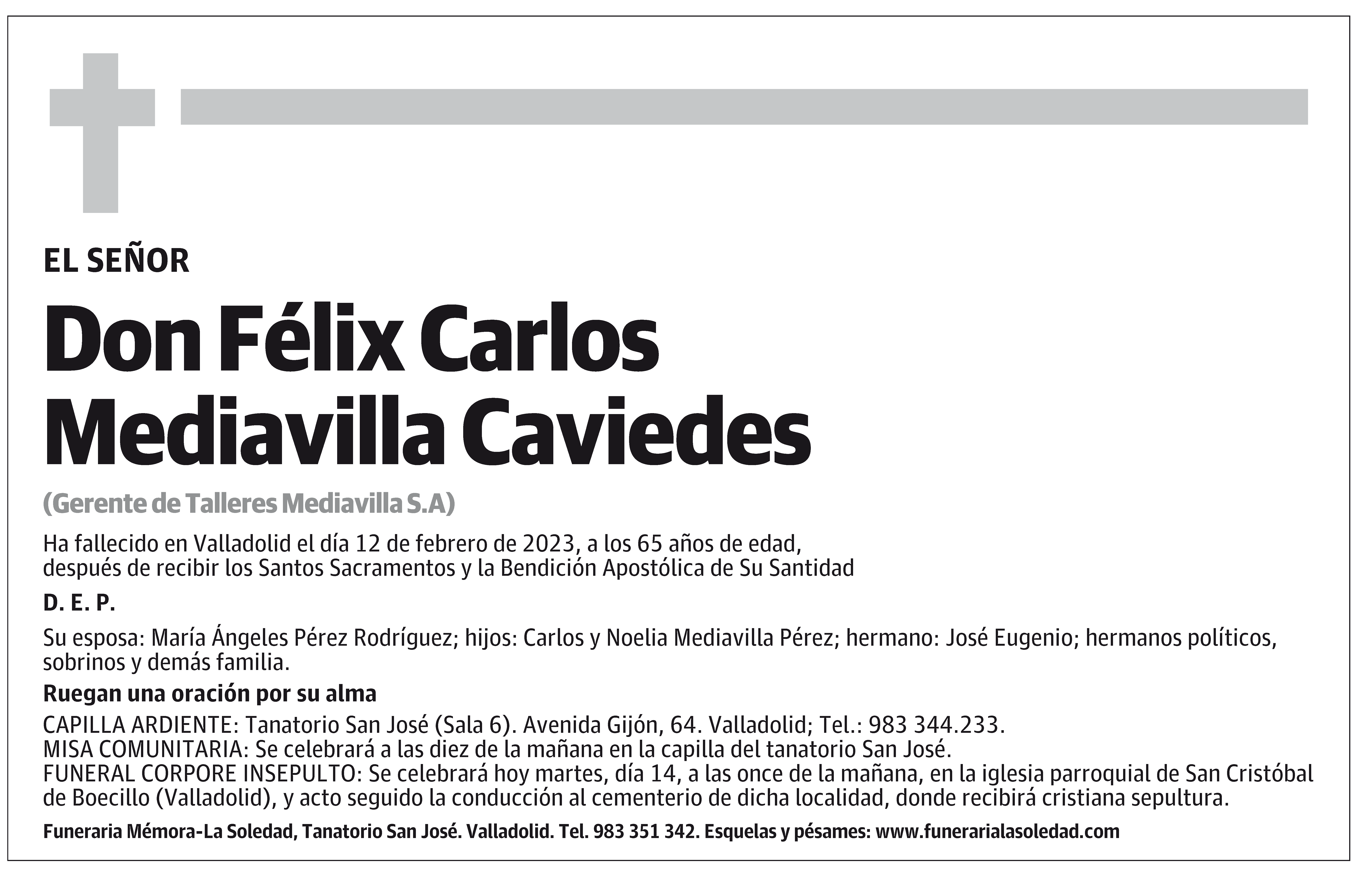Félix Carlos Mediavilla Caviedes