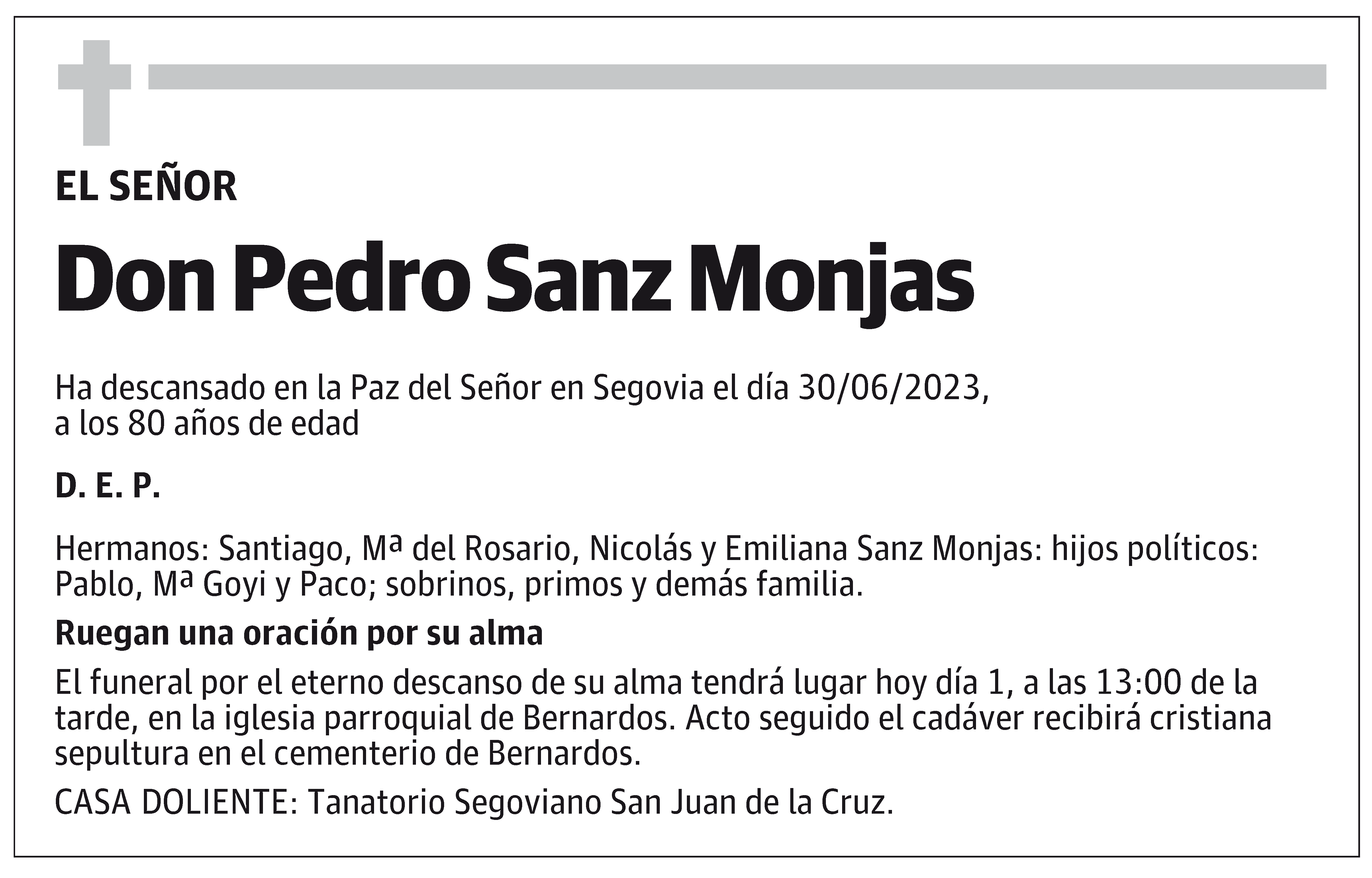 Pedro Sanz Monjas