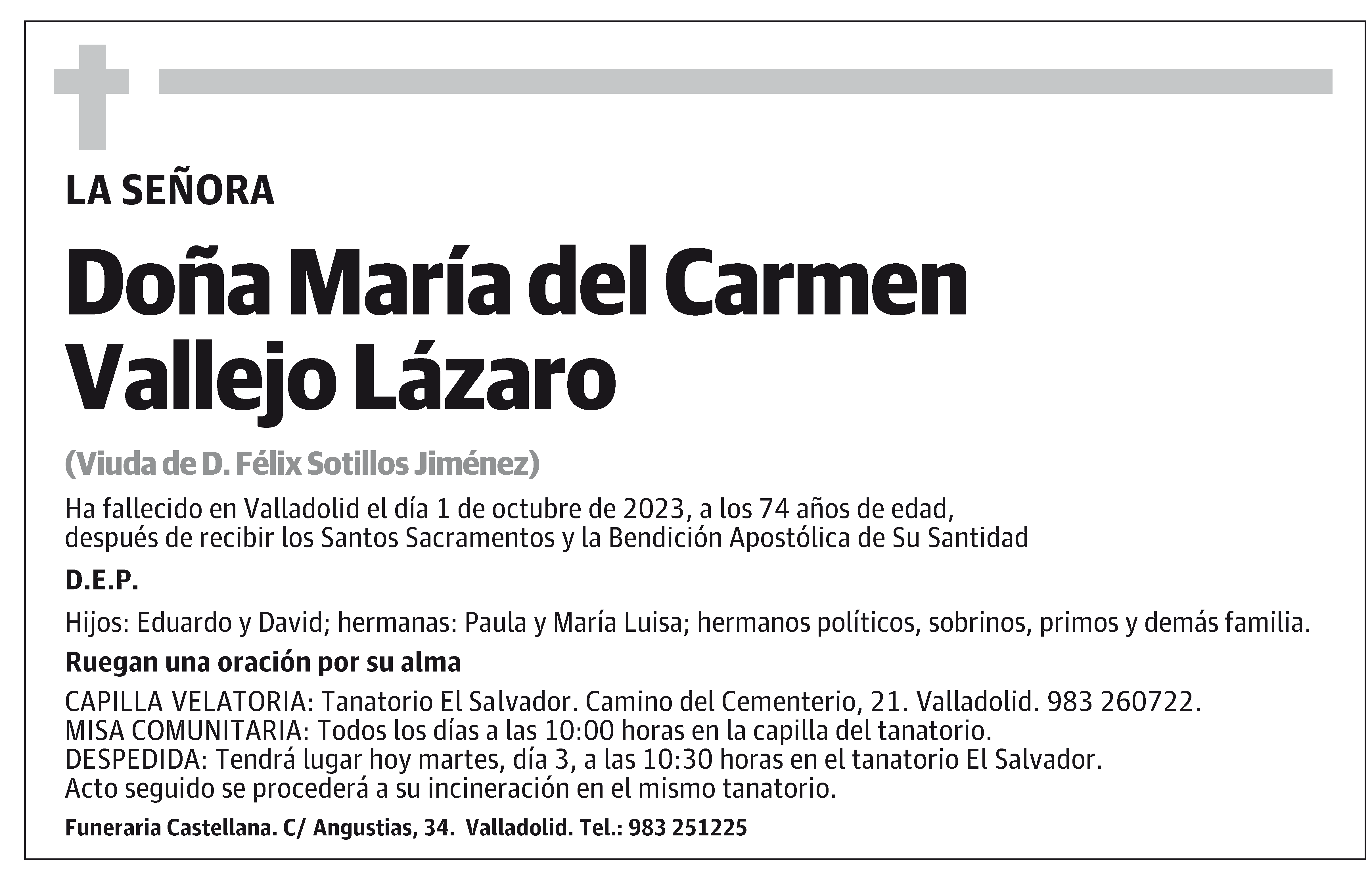 María del Carmen Vallejo Lázaro