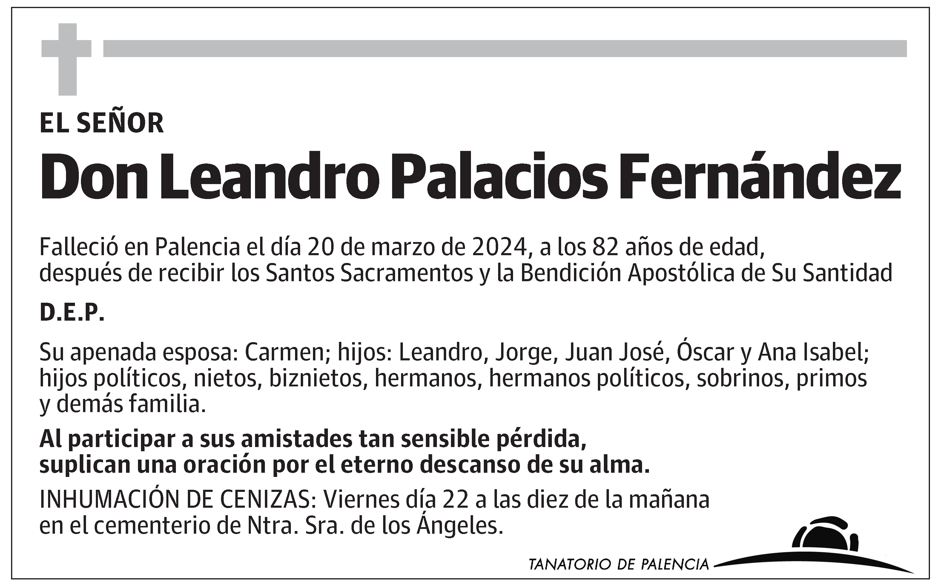 Leandro Palacios Fernández