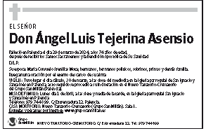 Ángel Luis Tejerina Asensio