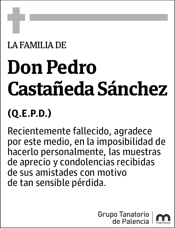 Pedro Castañeda Sánchez