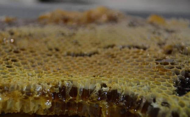 Resultado de imagen para miel en naturaleza