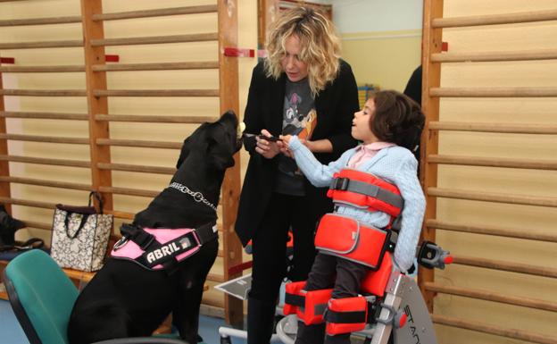 Aprender con 'Abril': una perra labrador ayuda en la educación de alumnos con necesidades especiales | El Norte Castilla