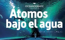 Cartel de la exposición 'Átomos bajo el agua', que puede verse en el Museo de la Ciencia de Valladolid./Ocenogràfic Valencia