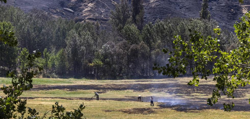 SEO/Birdlife advierte de que el fuego de Navalacruz ha afectado a zonas protegidas - Vimarsana News