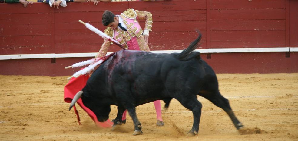 Hierros de Cebada Gago, Pablo Mayoral y Manuel Blázquez, en el ruedo cuellarano - Vimarsana News