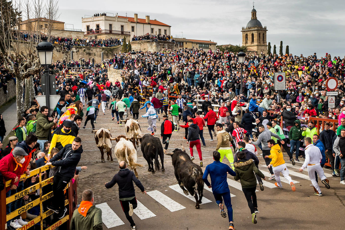 Fotos Carnaval del Toro en Ciudad Rodrigo El Norte de Castilla